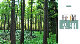 環(huán)保進(jìn)行時 | 華洲木業(yè)，用行動為地球發(fā)聲