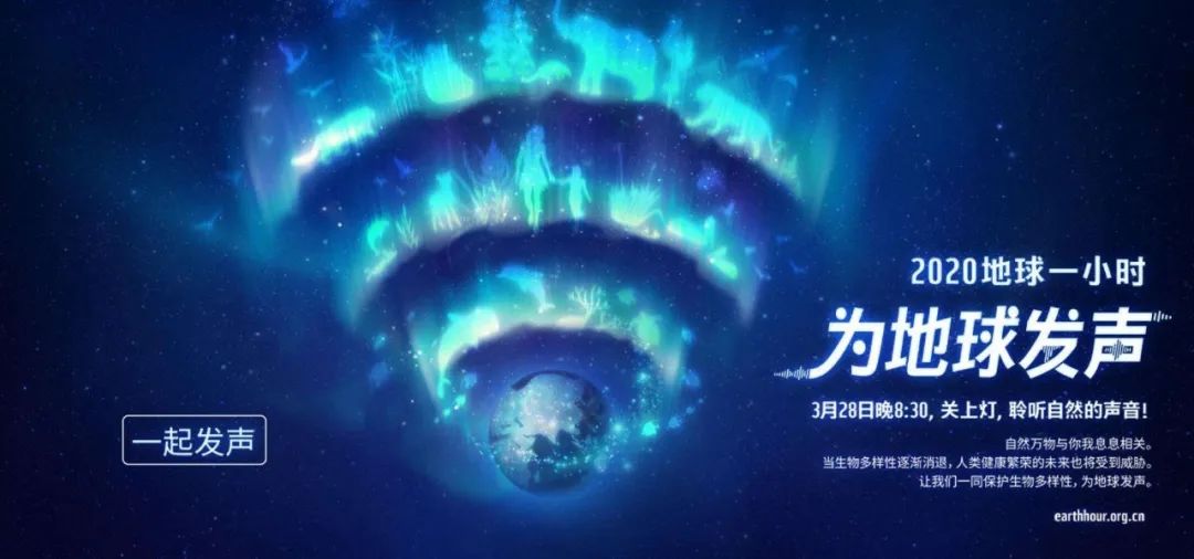 環(huán)保進(jìn)行時(shí) | 華洲木業(yè)，用行動(dòng)為地球發(fā)聲(圖1)