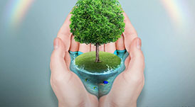 華洲木業(yè)，正在崛起的環(huán)保王國