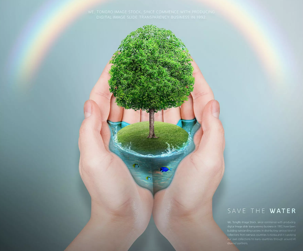 華洲木業(yè)，正在崛起的環(huán)保王國(圖1)