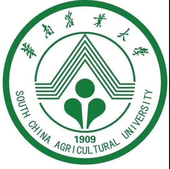 華南農業(yè)大學材料與能源學院胡傳雙院長一行到訪華洲木業(yè)參觀交流(圖3)