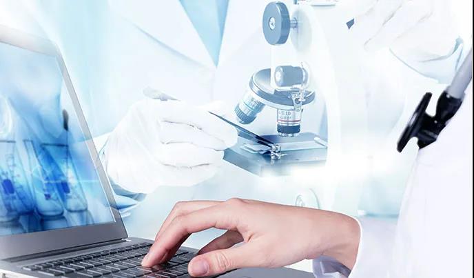 華南農業(yè)大學材料與能源學院胡傳雙院長一行到訪華洲木業(yè)參觀交流(圖4)