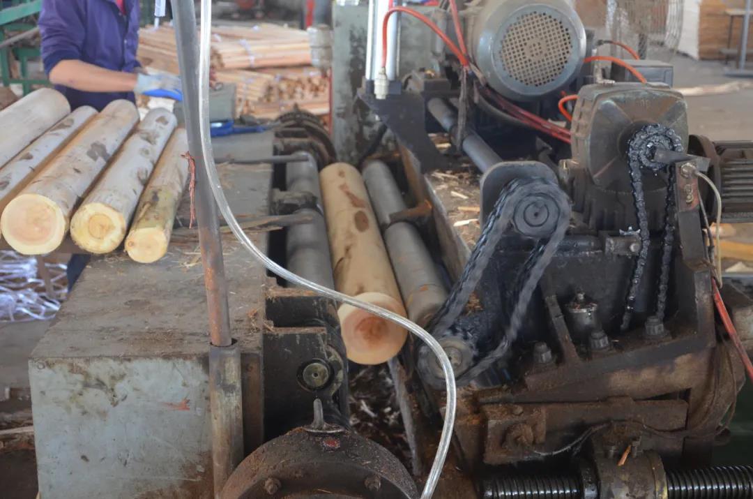 明星產(chǎn)品 | 華洲實(shí)木多層板誕生記！(圖3)