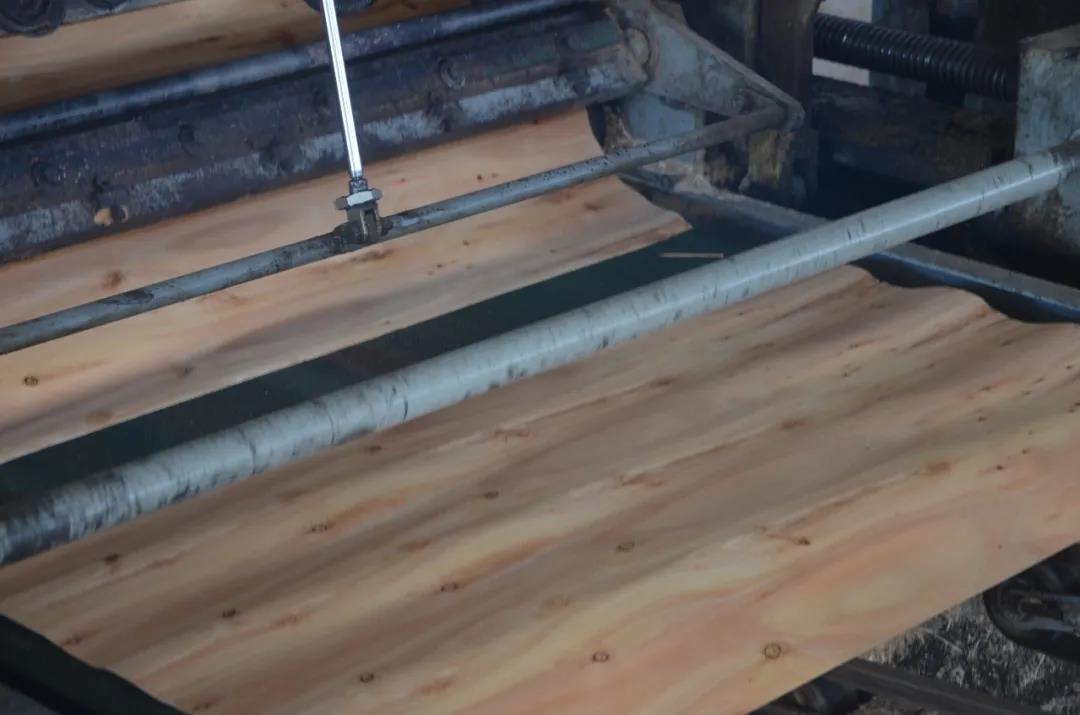 明星產(chǎn)品 | 華洲實(shí)木多層板誕生記！(圖4)