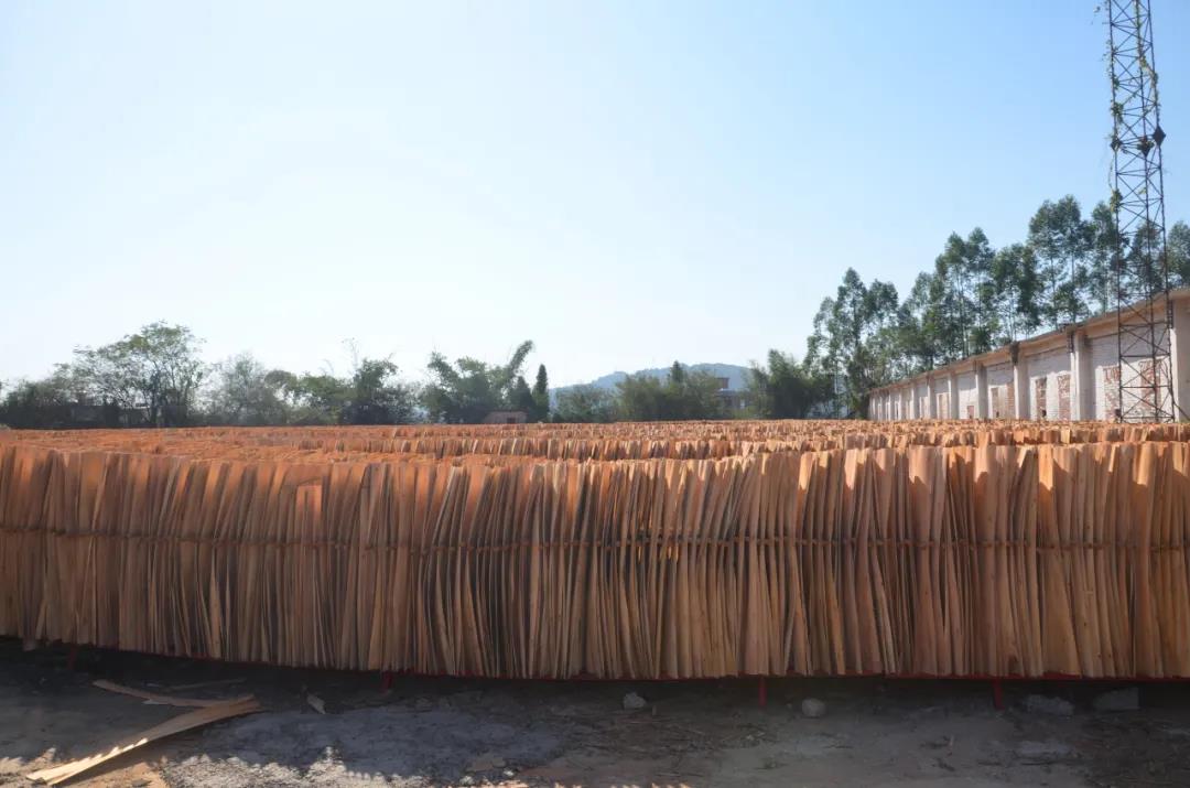 明星產(chǎn)品 | 華洲實(shí)木多層板誕生記！(圖6)