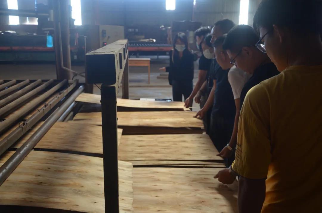 明星產(chǎn)品 | 華洲實(shí)木多層板誕生記！(圖8)