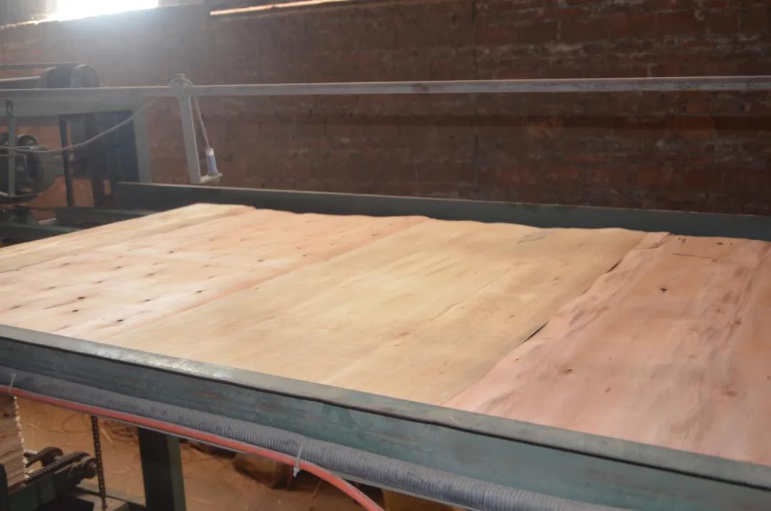 明星產(chǎn)品 | 華洲實(shí)木多層板誕生記！(圖10)