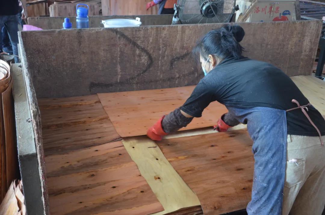 明星產(chǎn)品 | 華洲實(shí)木多層板誕生記！(圖12)