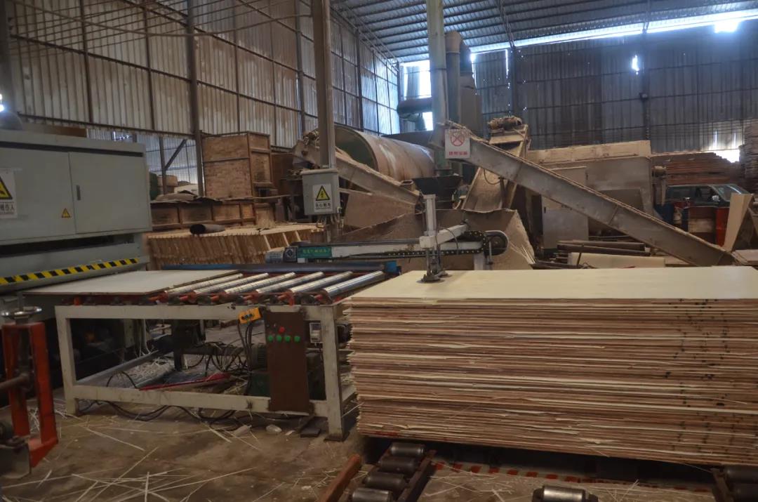 明星產(chǎn)品 | 華洲實(shí)木多層板誕生記！(圖18)