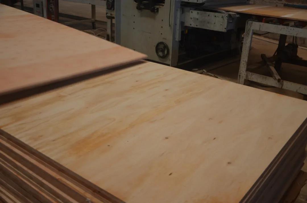 明星產(chǎn)品 | 華洲實(shí)木多層板誕生記！(圖16)