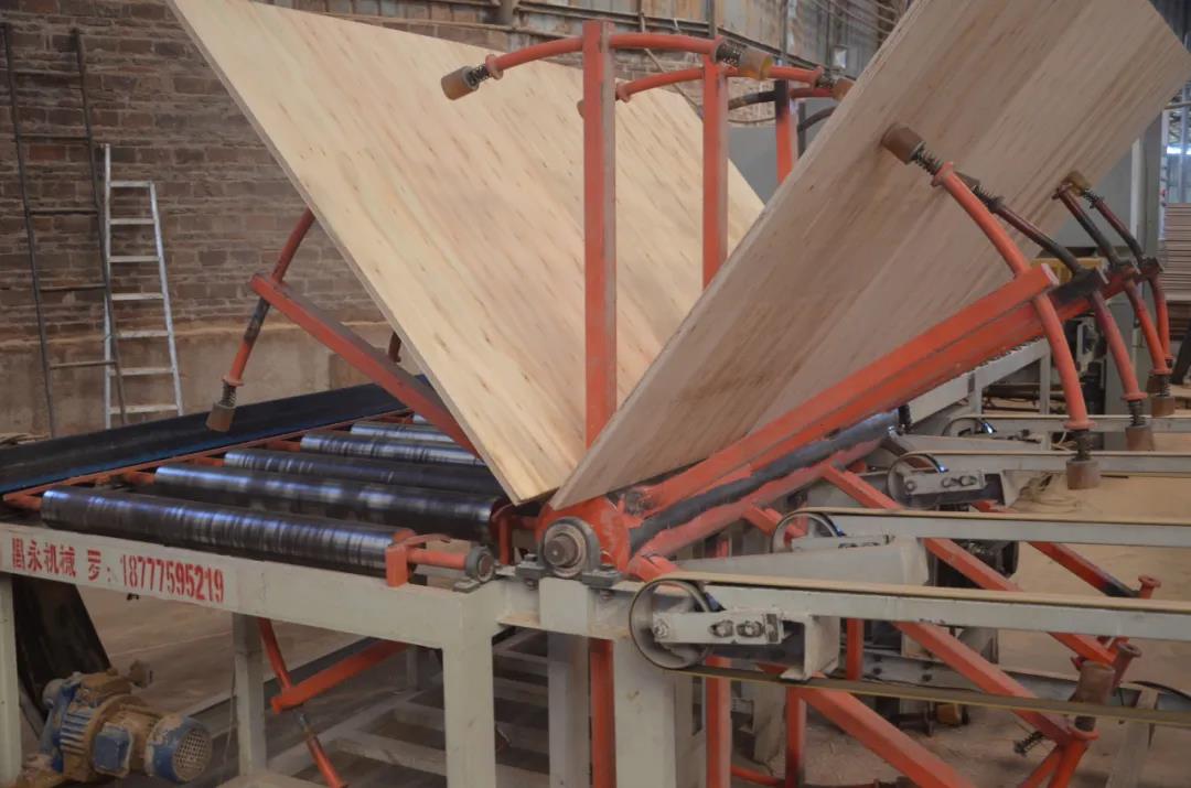 明星產(chǎn)品 | 華洲實(shí)木多層板誕生記！(圖17)