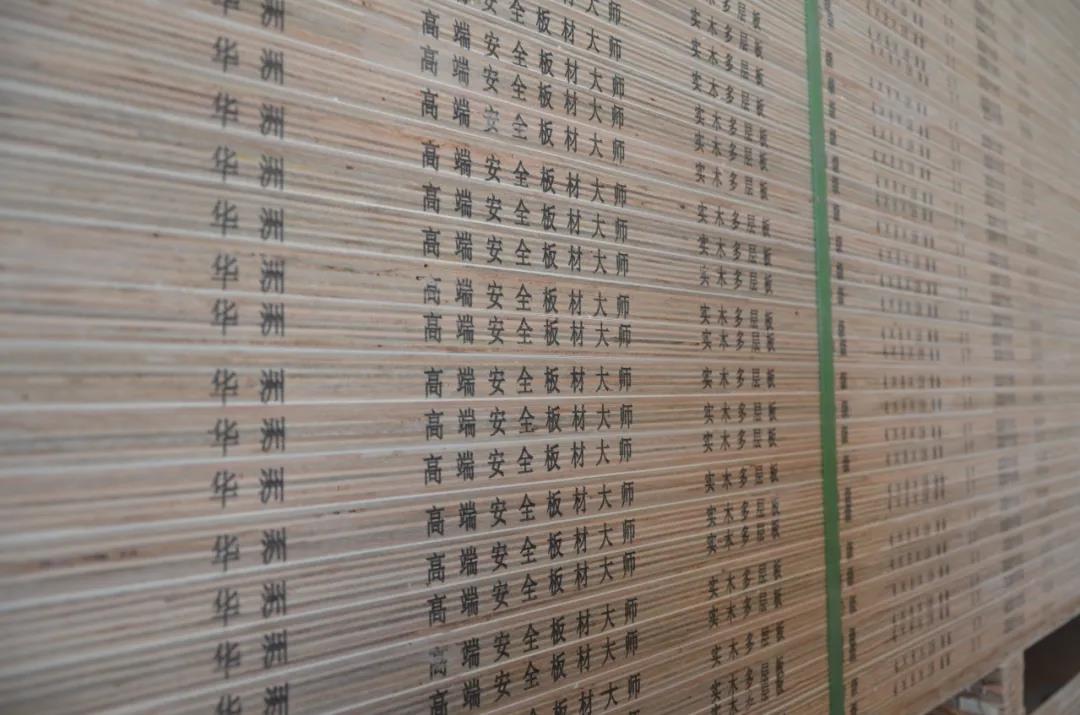 明星產(chǎn)品 | 華洲實(shí)木多層板誕生記！(圖23)