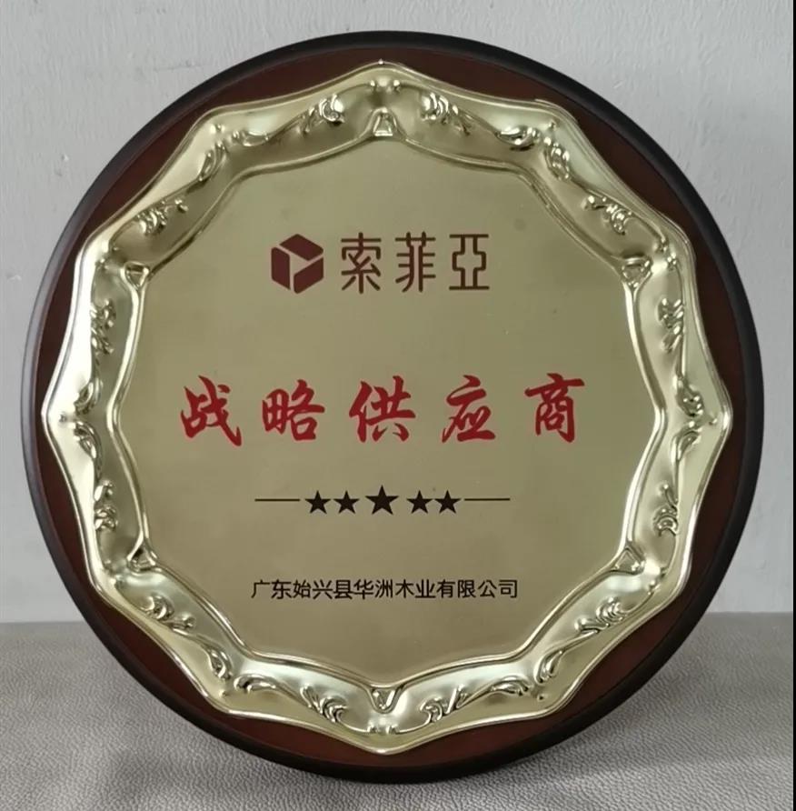 聚力合贏，共建生態(tài)，華洲榮膺索菲亞戰(zhàn)略供應商獎(圖5)