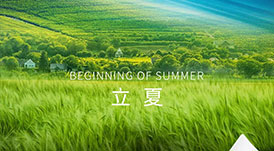 華洲木業(yè) | 春意藏，夏初長