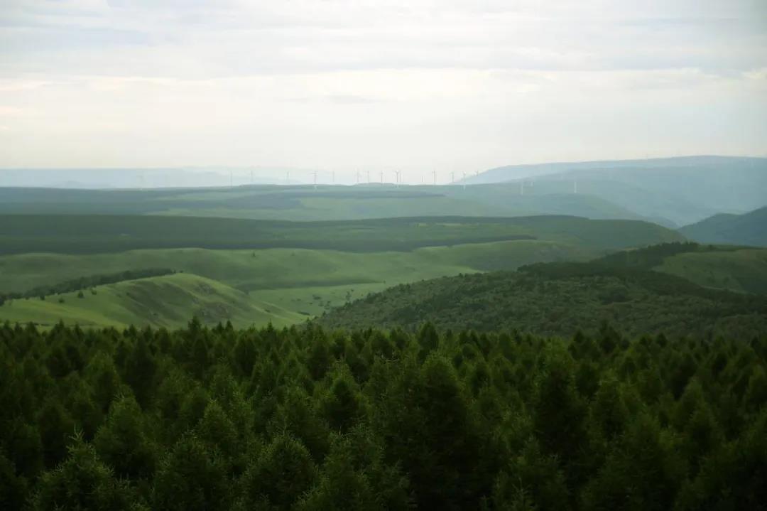 推薦 | 選華洲無(wú)醛添加實(shí)木顆粒板，讓家人遠(yuǎn)離甲醛傷害！(圖1)