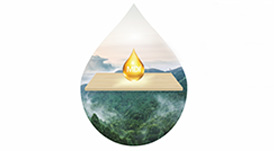 板材環(huán)不環(huán)保，看看膠水就知道！