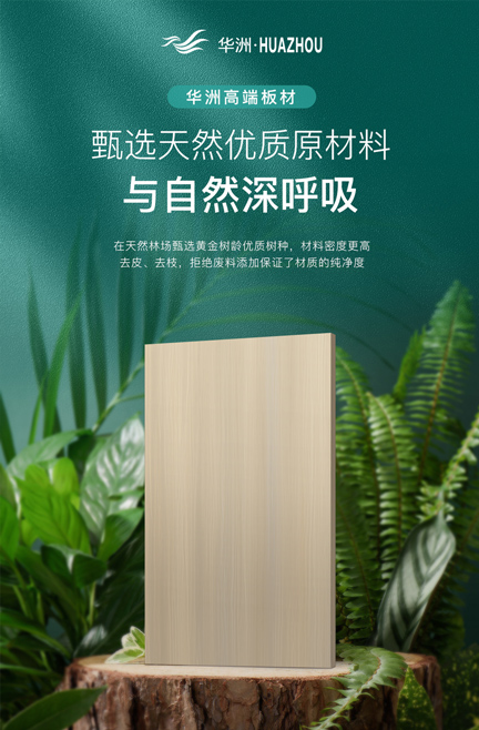 華洲專注板材，更關注健康(圖3)