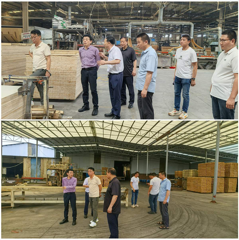 【綠色領(lǐng)航·智慧交融】華洲木業(yè)董事長率團(tuán)深訪鐘氏木業(yè)，共譜江西綠色發(fā)展新篇章(圖4)