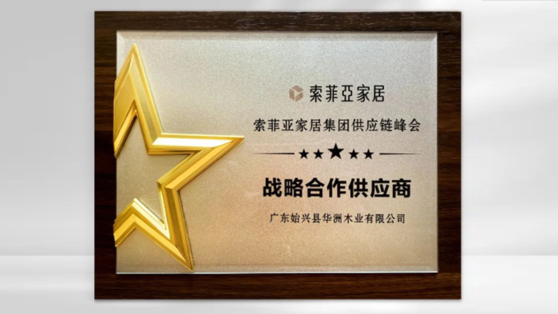 【品牌實力】華洲：創(chuàng)新引領，品質鑄就傳奇(圖5)