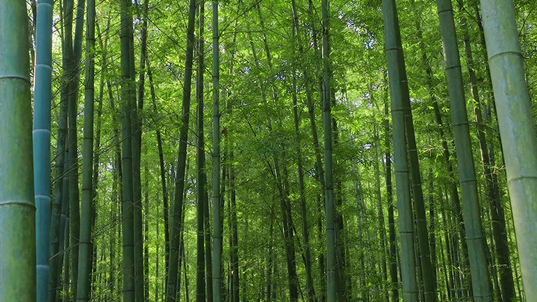 官網1.jpg 官網1.jpg