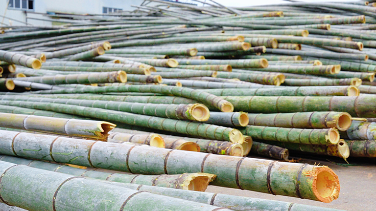 官網2.jpg 官網2.jpg